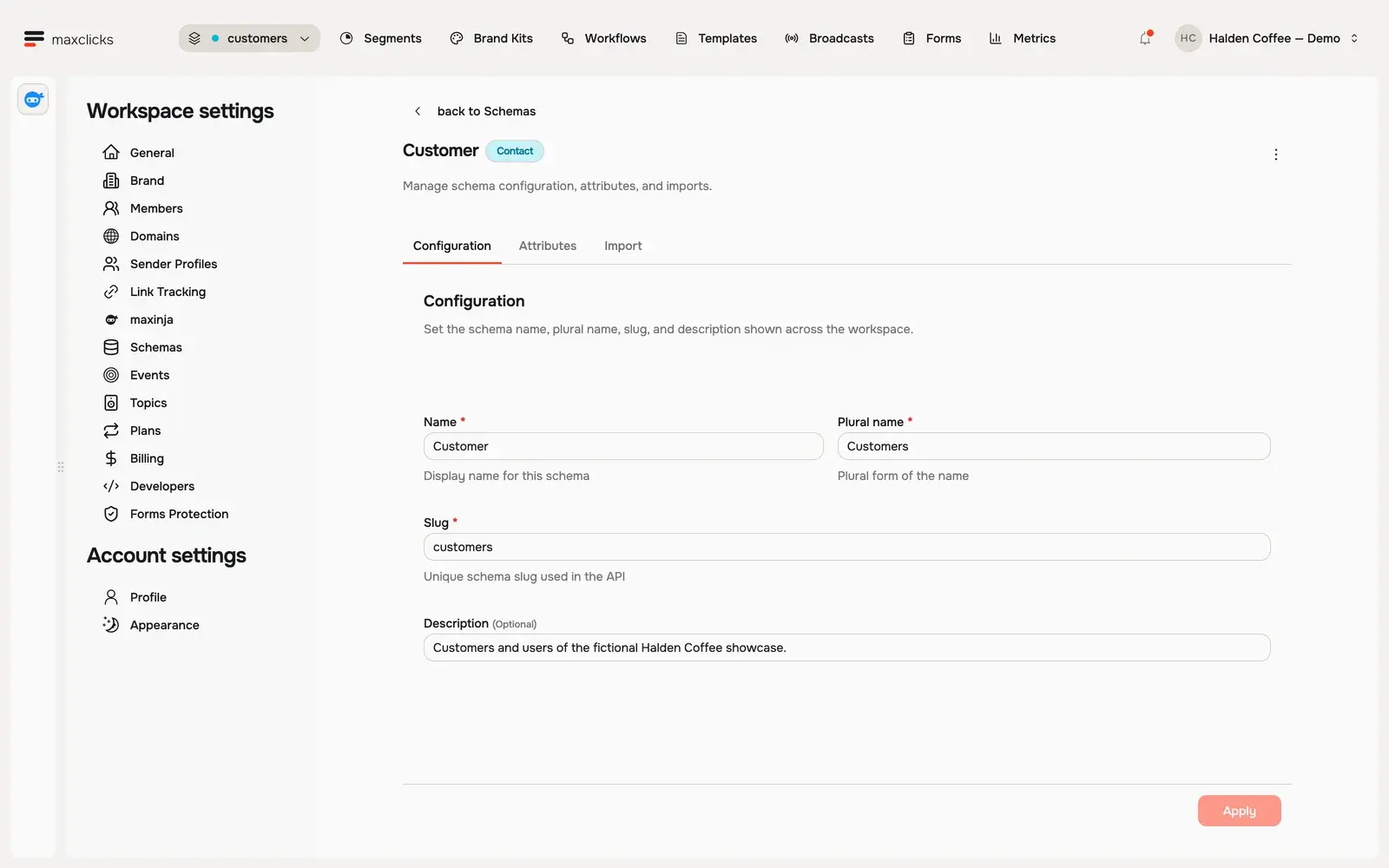 Customer schema configuration showing name, plural name, slug and description